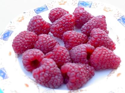 Picture of Raspberry Canes - Joan J - November 2025 Delivery